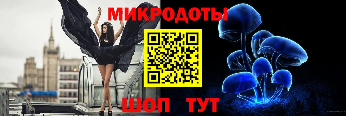 Псилоцибиновые грибы GOLDEN TEACHER  Галлюциногенные грибы MAGIC MUSHROOMS  цены наркотик  Вход с VPN  Острогожск 