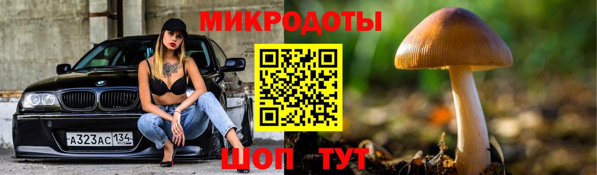 Галлюциногенные грибы MAGIC MUSHROOMS Острогожск